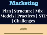 marketing management, marketing and technology, digital strategy, digital innovation, digital marketing techniques, global marketing, domestic marketing, international marketing
