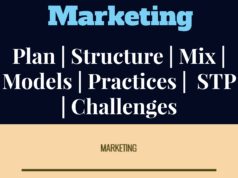 marketing management, marketing and technology, digital strategy, digital innovation, digital marketing techniques, global marketing, domestic marketing, international marketing
