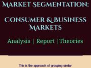 Market Segmentation- Consumer & Business Markets