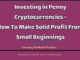 entrepreneur Entrepreneur Investing in Penny Cryptocurrencies How To Make Solid Profit From Small Beginnings 80x60
