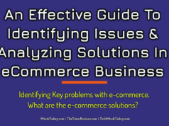 An Effective Guide To Identifying Issues & Analyzing Solutions In eCommerce Business
