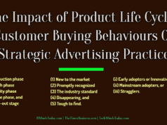advertising Advertising-Branding-Marketing The Impact of Product Life Cycle Customer Buying Behaviours On Strategic Advertising Practices 238x178