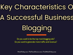 What are The Key Characteristics Of A Successful Business Blogging
