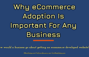 ecommerce E-Commerce-Internet Why eCommerce Adoption Is Important For Any Business  300x194